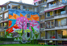 20250409 Abtswoude Bloeit Foto 