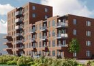 Hoog Sluys 20250123 foto